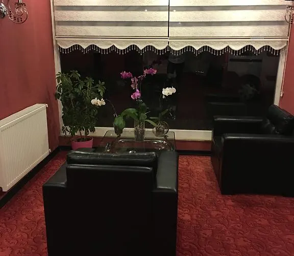 Hotel Mina 1 Ankara