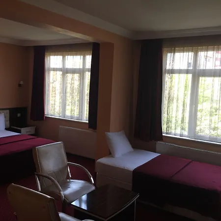 Hotel Mina 1 2*