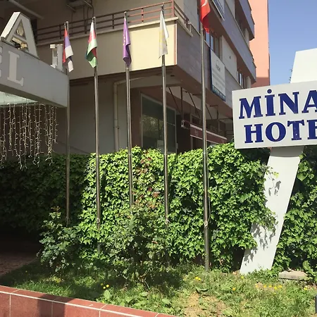 Mina 1 2*