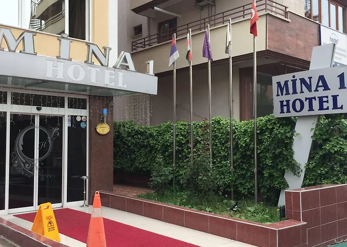 Hotel Mina 1 2*