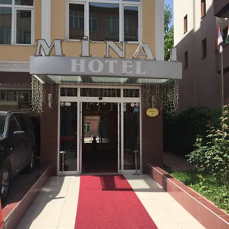 Mina 1 Ankara